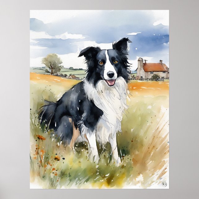 Border Collie - Hundekunst drucken Poster (Vorne)