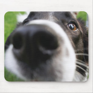 Border-Collie-Hundenase Mousepad