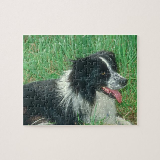 Border-Collie-Hundepuzzlespiel Puzzle (Horizontal)