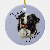 Border Collie 'I m a Genius' .Fun & Clever Design