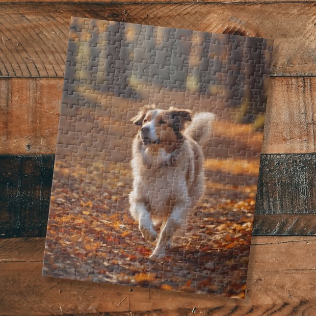 Border Collie im Wald Puzzle (Von Creator hochgeladen)