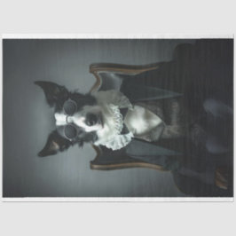 Border Collie in Suite Shades Decoupage Seidenpapier