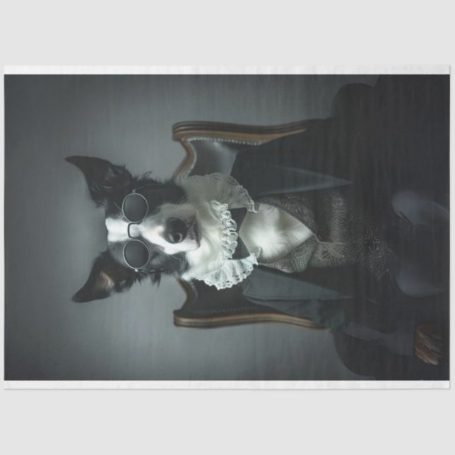 Border Collie in Suite Shades Decoupage Seidenpapier (Vorderseite)