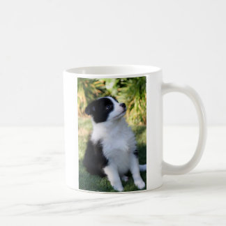Border Collie Kaffeetasse