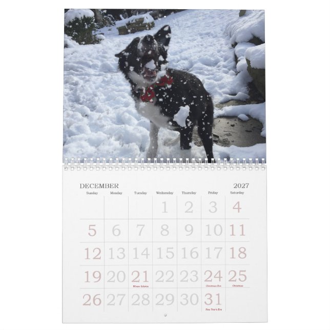 Border-Collie-Kalender 2017 Kalender (Dez 2027)