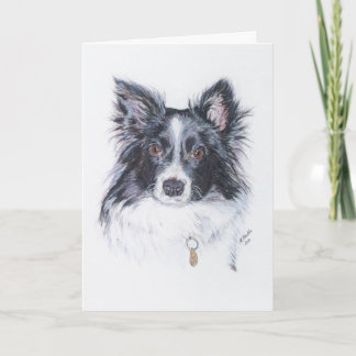 Border Collie Karte
