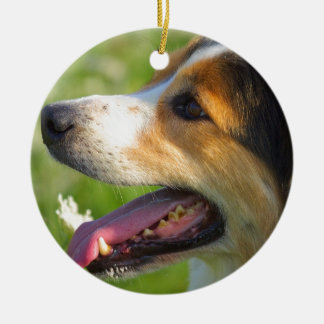 Border-Collie Keramikornament