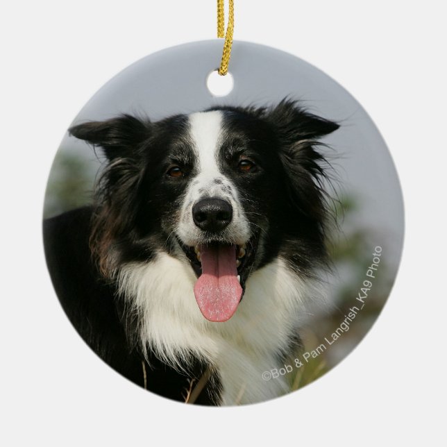 Border-Collie-KeuchenHeadshot 1 Keramik Ornament (Vorne)
