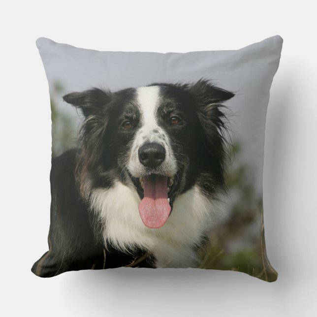 Border-Collie-KeuchenHeadshot 1 Kissen (Vorderseite)
