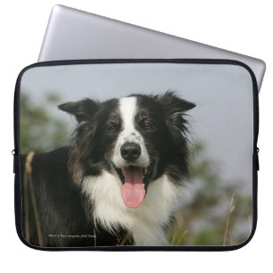 Border-Collie-KeuchenHeadshot 1 Laptopschutzhülle