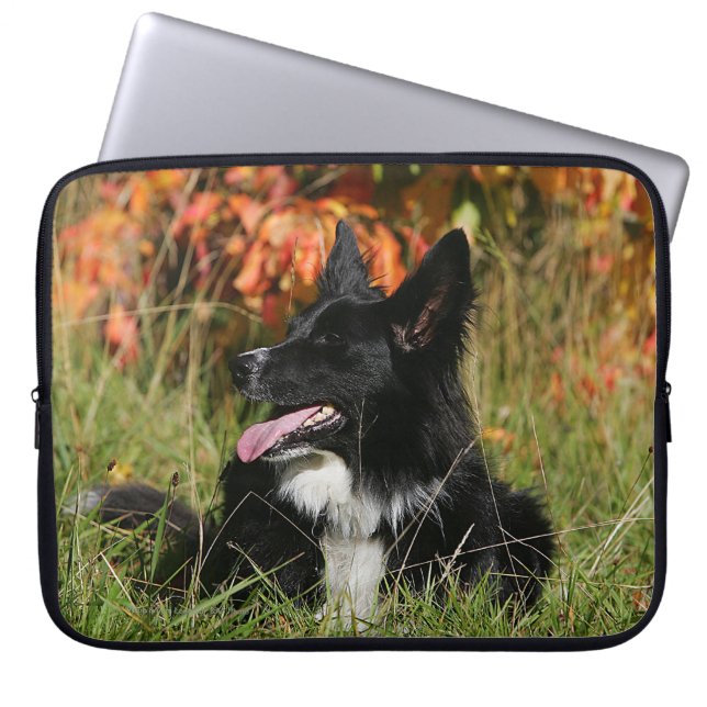 Border-Collie-Keuchenniederlegung Laptopschutzhülle (Vorderseite)