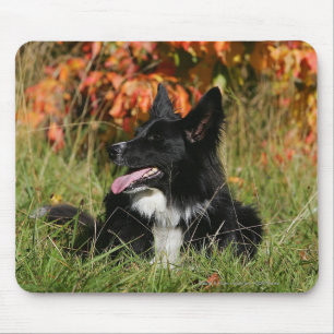 Border-Collie-Keuchenniederlegung Mousepad