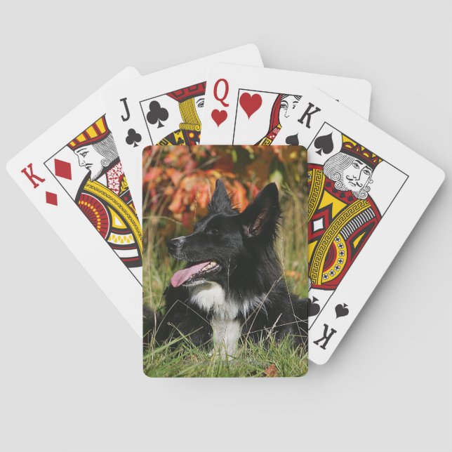 Border-Collie-Keuchenniederlegung Spielkarten (Rückseite)