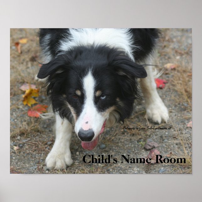 Border Collie Kids Room Personalisiertes Wall Post Poster (Vorne)