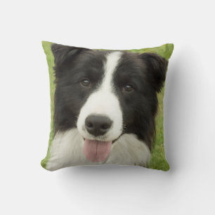 Border Collie Kissen