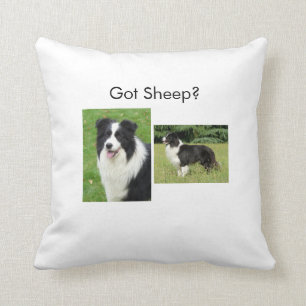 Border-Collie-Kissen Kissen