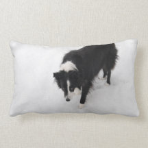 Border-Collie-Kissen