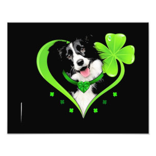 Border Collie Kleeblatt Heart Fotodruck