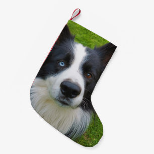 Border Collie Kleiner Weihnachtsmann-Strumpf Weihnachtsstrumpf