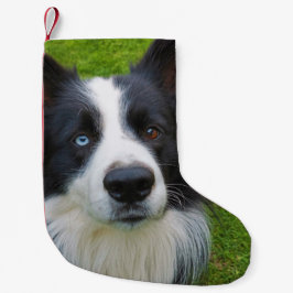 Border Collie Kleiner Weihnachtsmann-Strumpf Weihnachtsstrumpf