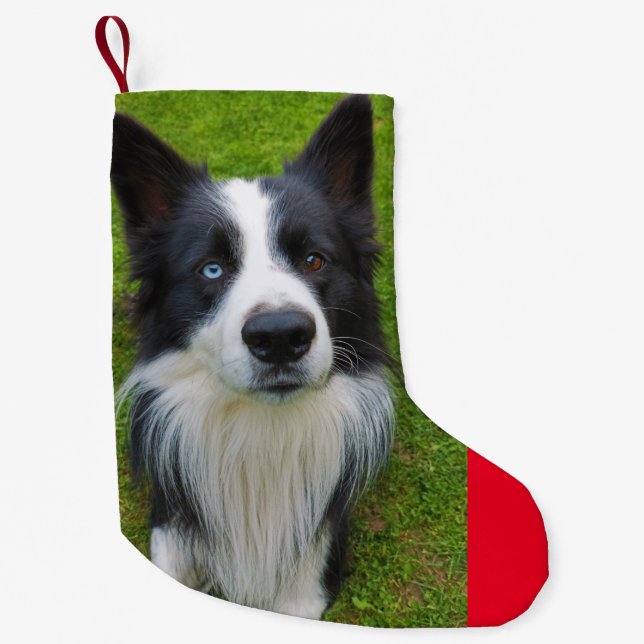 Border Collie Kleiner Weihnachtsstrumpf (Vorderseite)