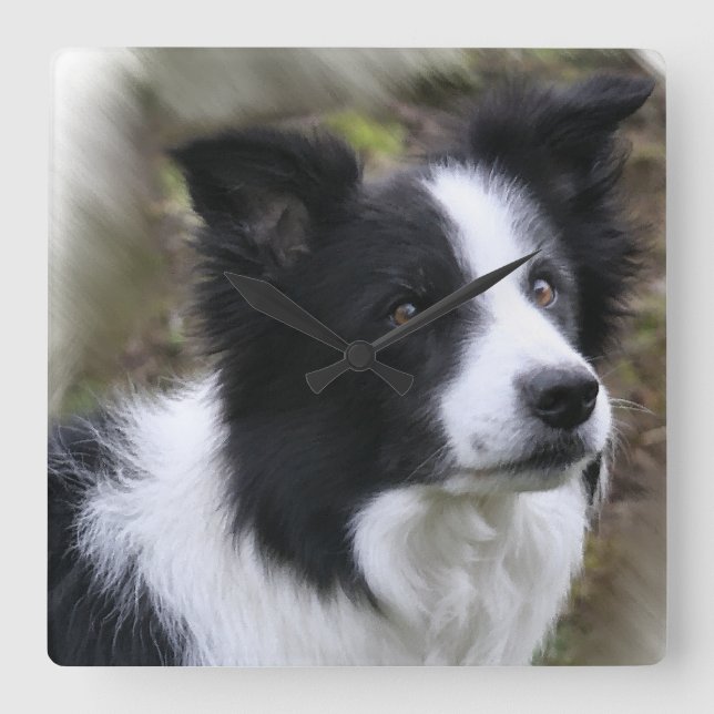 Border-Collie-Kunst Quadratische Wanduhr (Vorderseite)