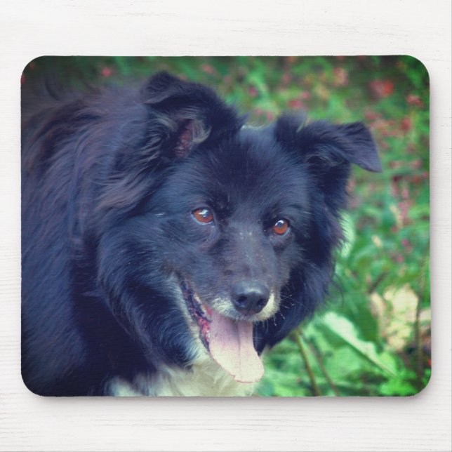 Border Collie Lächeln Mousepad (Vorne)