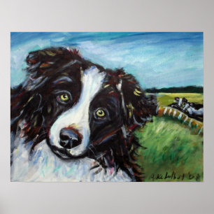Border Collie Lächeln Poster