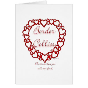 Border Collie Love
