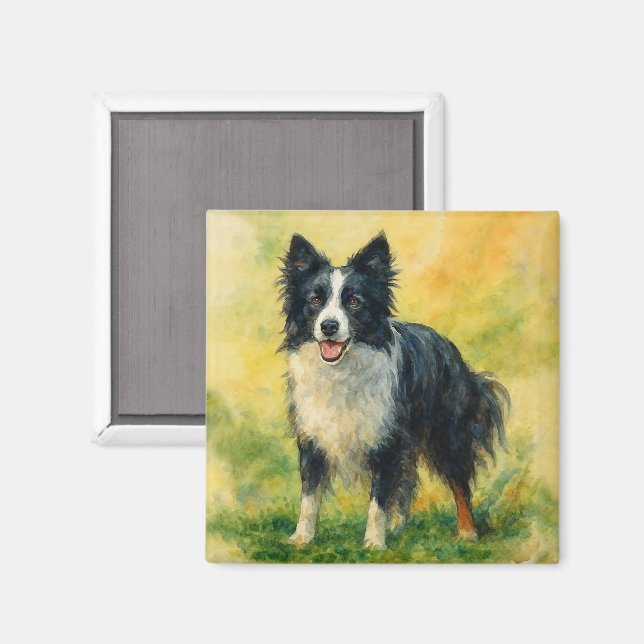 Border Collie Magnet (Vorderseite/Rückseite)
