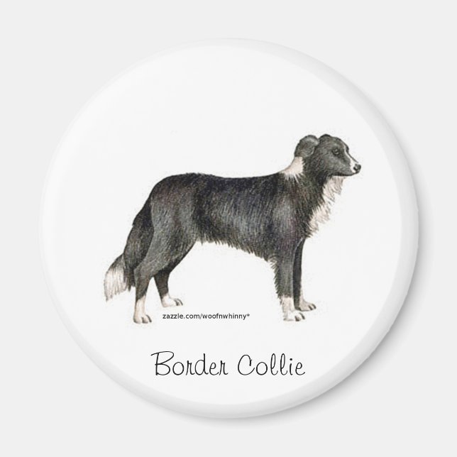 Border Collie Magnet (Vorne)