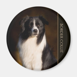 Border Collie Magnet