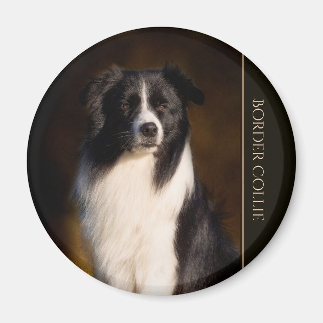 Border Collie Magnet (Vorne)