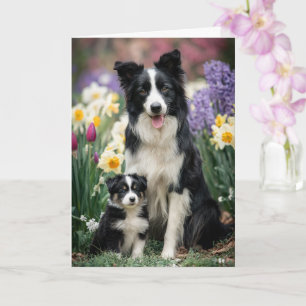Border Collie Mama Muttertag Liebe Karte