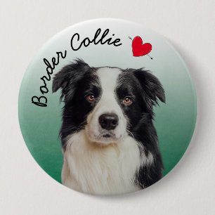 Border Collie mit grünem Verlauf Button
