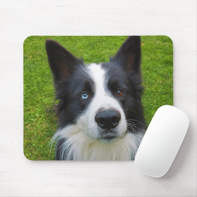 Border Collie Mousepad (Mit Mouse)