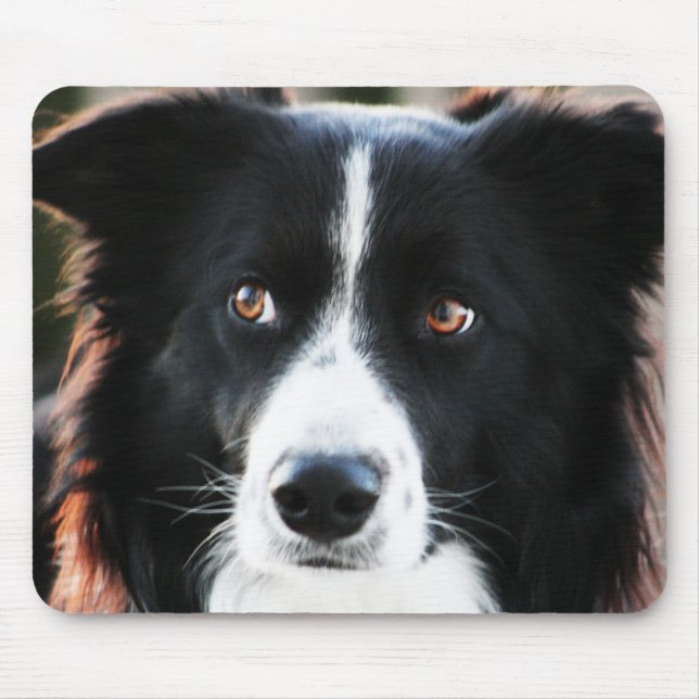 Border-Collie Mousepad (Vorne)
