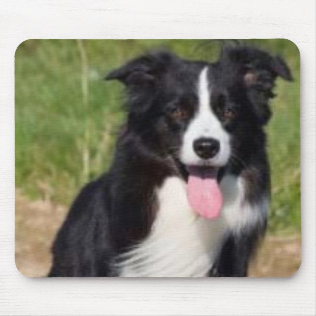 Border-Collie Mousepad (Vorne)