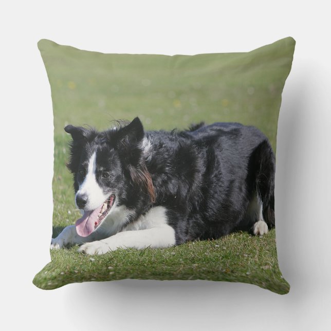 Border-Collie-Niederlegung Kissen (Vorderseite)