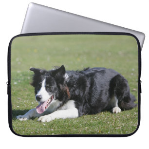 Border-Collie-Niederlegung Laptopschutzhülle