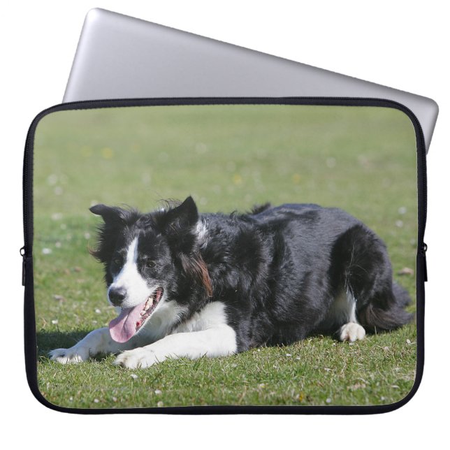 Border-Collie-Niederlegung Laptopschutzhülle (Vorderseite)