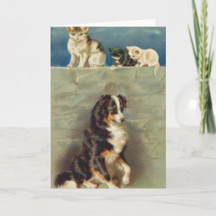 Border Collie Notecard Karte