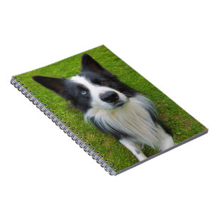 Border Collie Notizblock