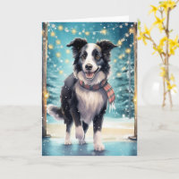Border Collie on Ice