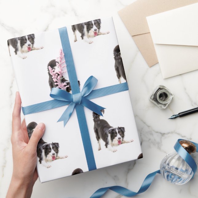 Border Collie on White Geschenkpapier (Schenken)