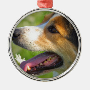 Border-Collie Ornament Aus Metall