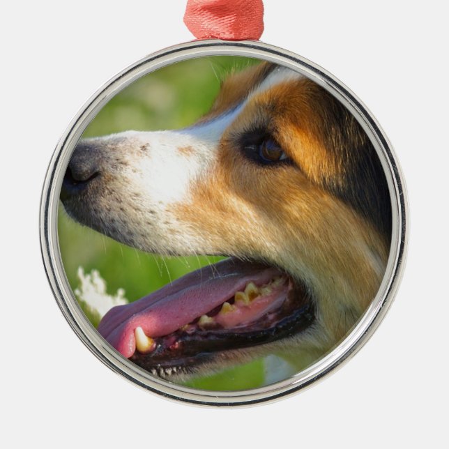 Border-Collie Ornament Aus Metall (Vorne)