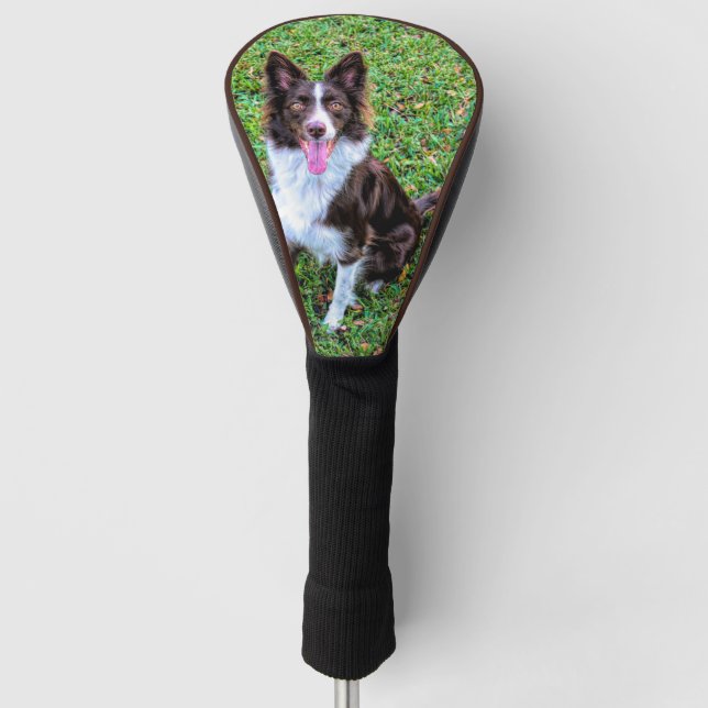 Border Collie p3 Golf Headcover (Vorderseite)