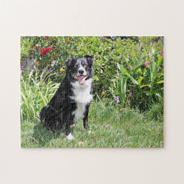 Border-Collie - Paddy - Pasten Puzzle (Horizontal)