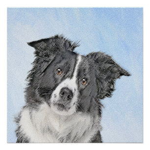 Border Collie Painting - Niedliche Original Dog Ar Poster